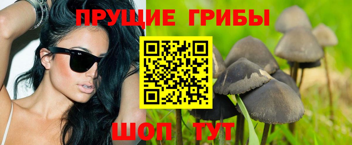 Кушва  Галлюциногенные грибы Cubensis  Вход с VPN  Галлюциногенные грибы Cubensis 